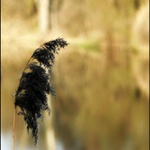 Život bez brýlí IV