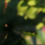 Život bez brýlí V