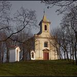 ...předjaří na kopečku...