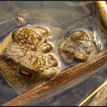 ...LÁSKA JE LÁSKA...