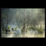 Pohled pod pokličku I.