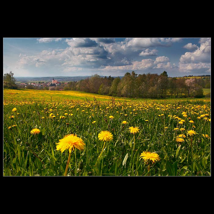 * probuzení jara II. *