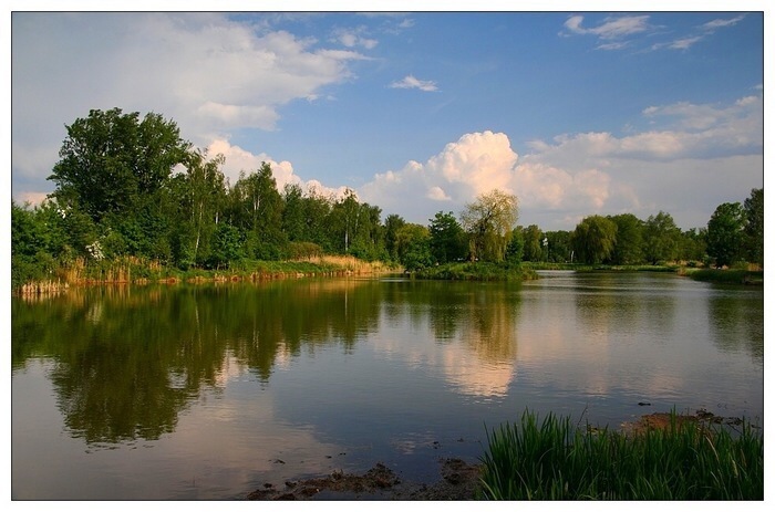Podvečer u vody