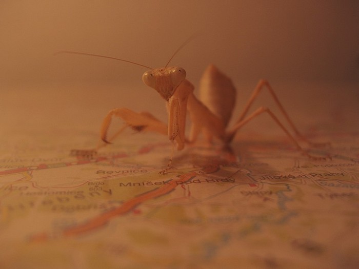 Kudy tudy do Olomouce?