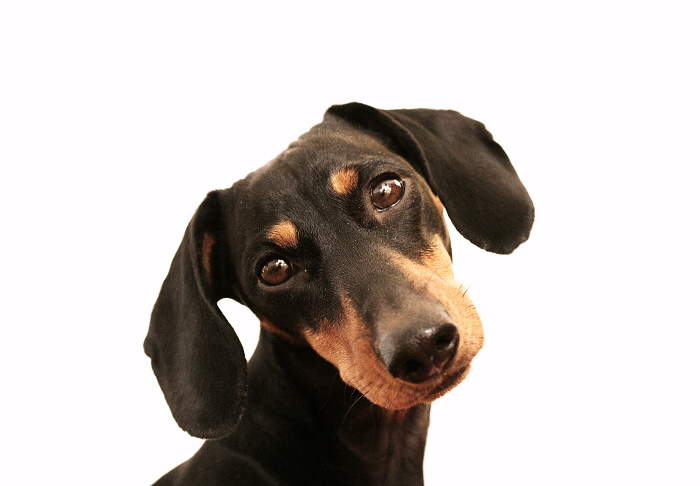 sep