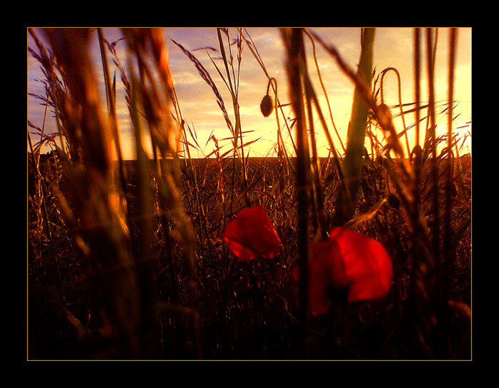 ..Posledné chvíľky..II