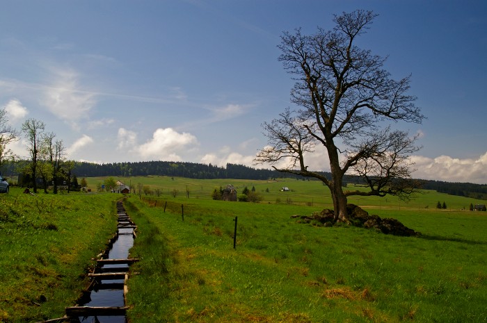 Svědek zašlých časů