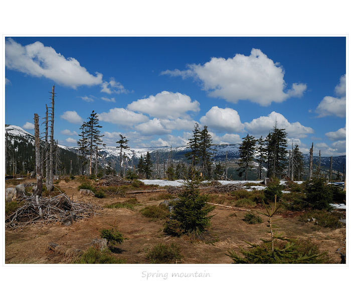 Spring mountain