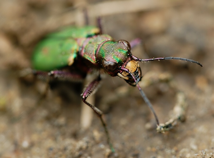 ...konečně světlo......