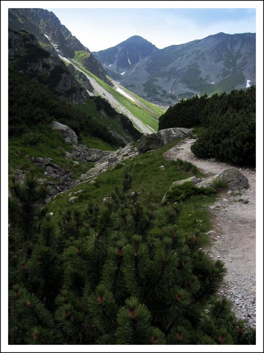 Vysoké Tatry
