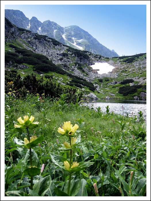 Vysoké Tatry