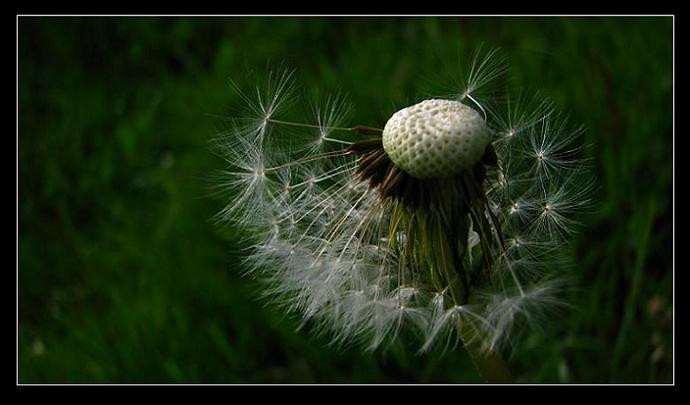 ticho pred burkou...