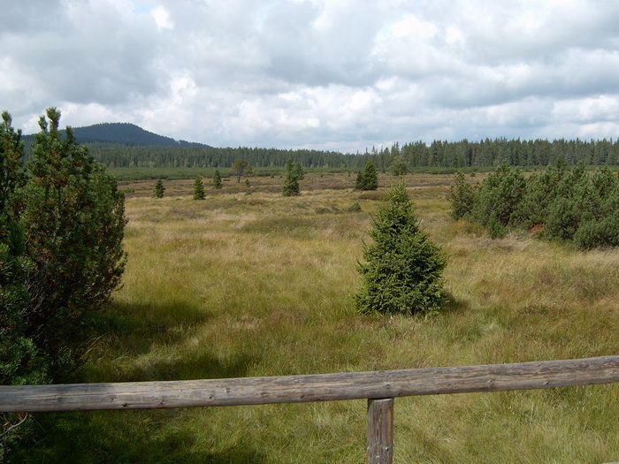 Skotsko..nebo Šumava?