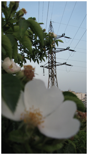 Electricity