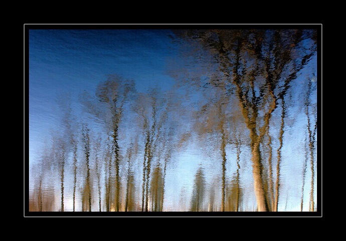 Water Impression