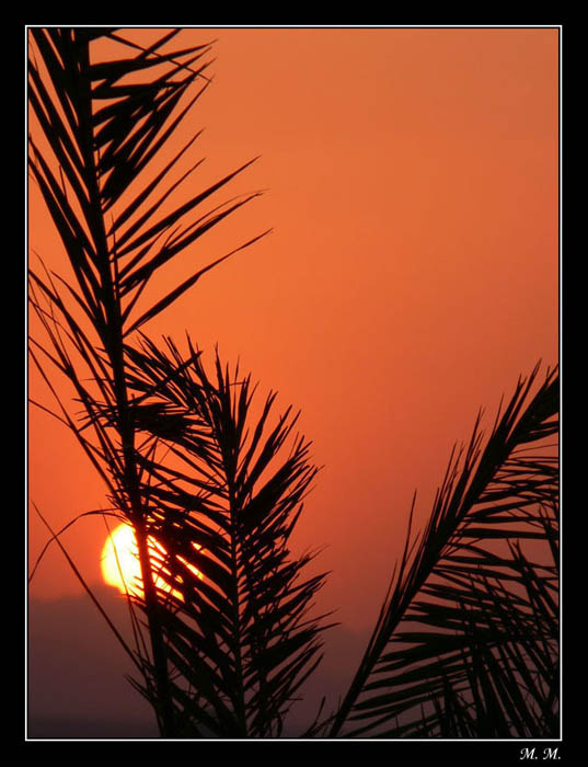 Sunset somewhere in Egypt