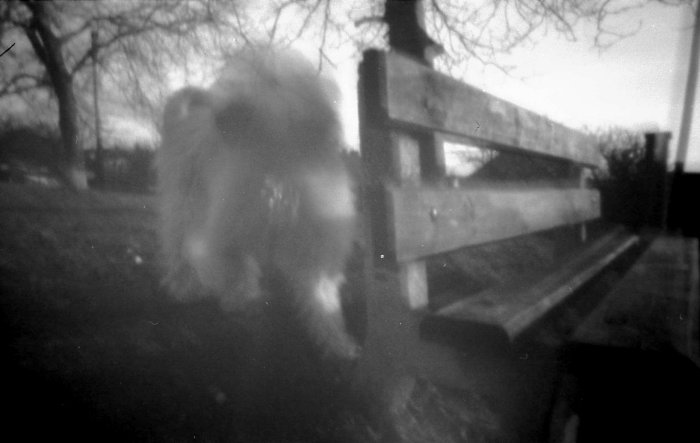 Obluda útočí na lavičku