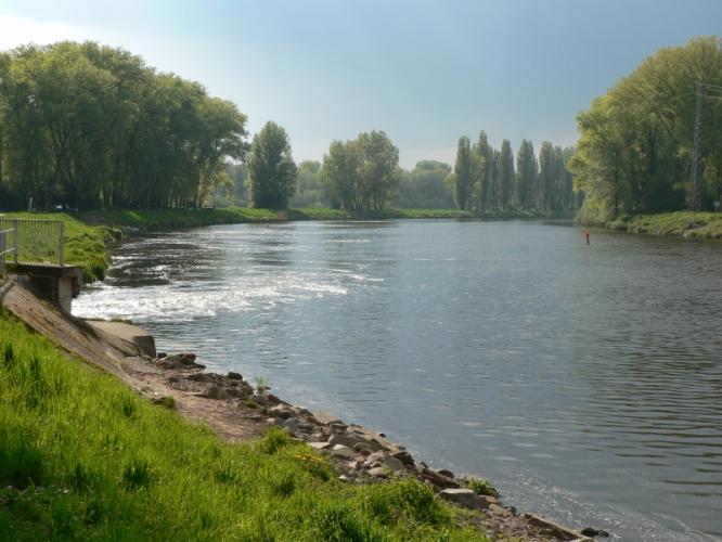 Labe - Celakovice pod jezem