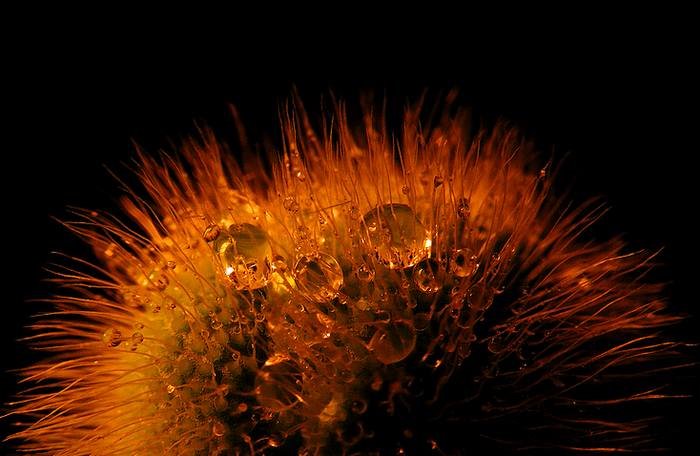 Exploze