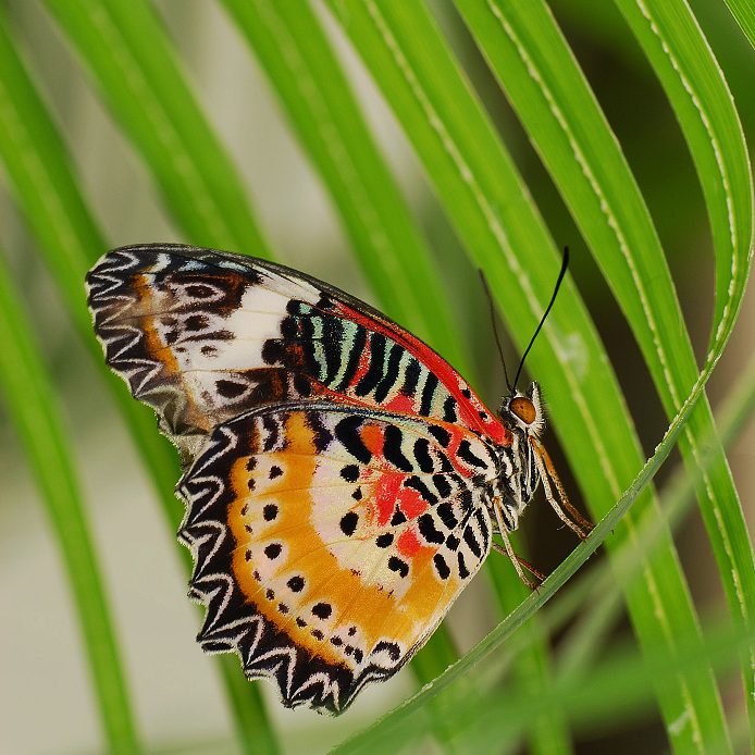 před prudkým stoupáním