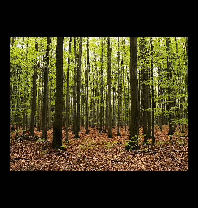 1. máj ve vojenském újezdu Libavá