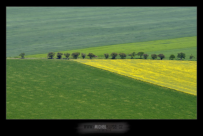 Polní linie