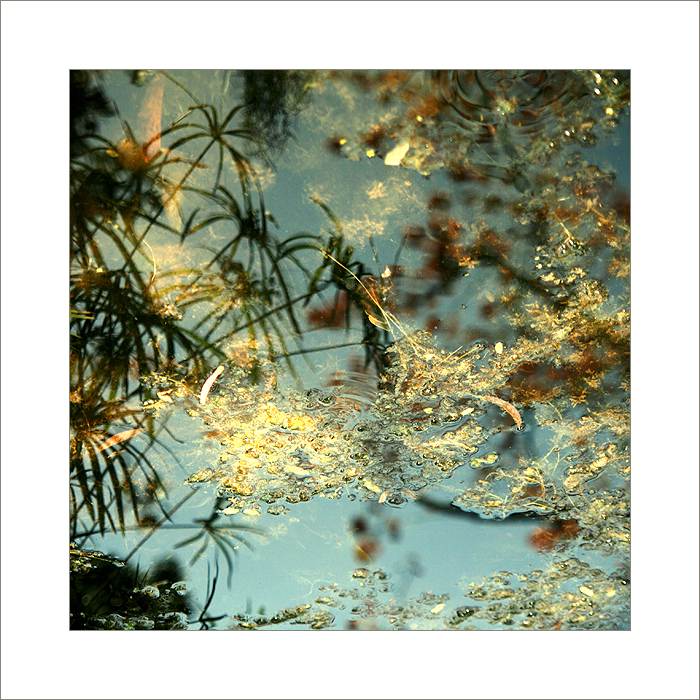 *** Vodní hladina ***