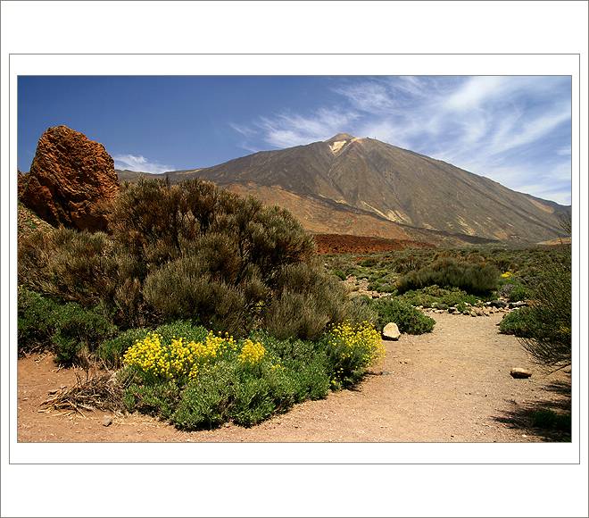 *** Parque nacional del Teide II. ***