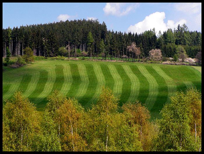 Šumava 1
