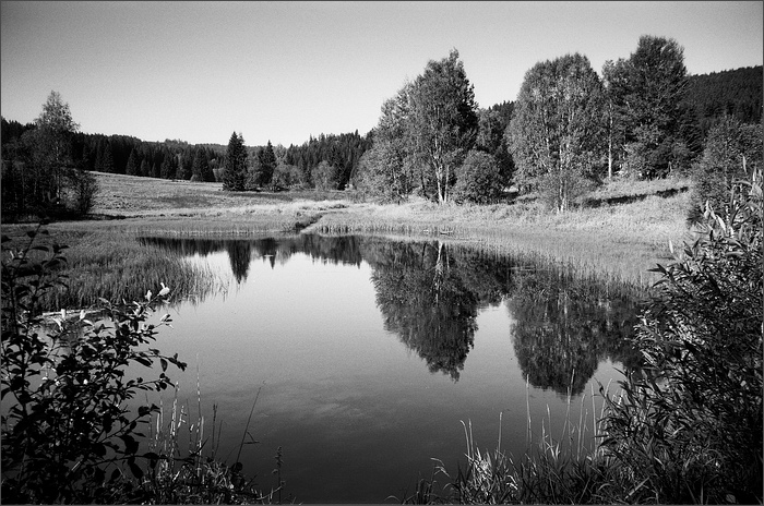 Šumná Šumava.......... Polka