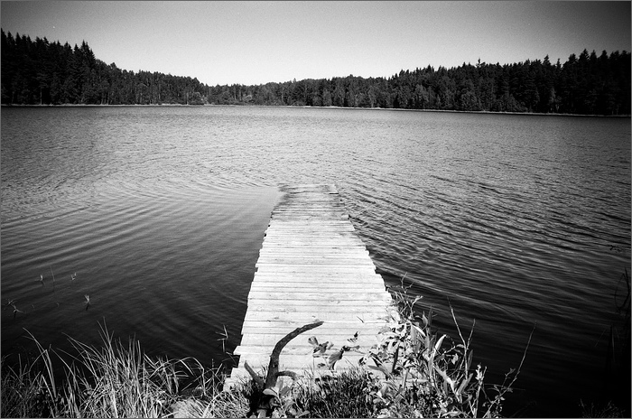 Šumná Šumava.......... Křišťanovický rybník