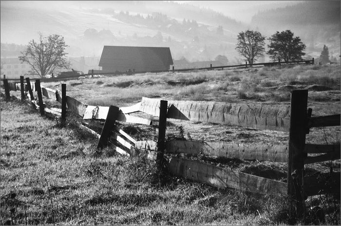 Šumná Šumava.......... Ránko na Kvildě