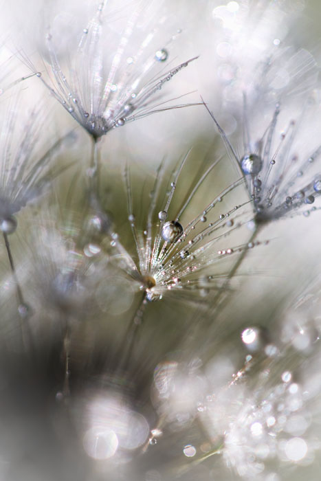 ...Malé drobnosti...