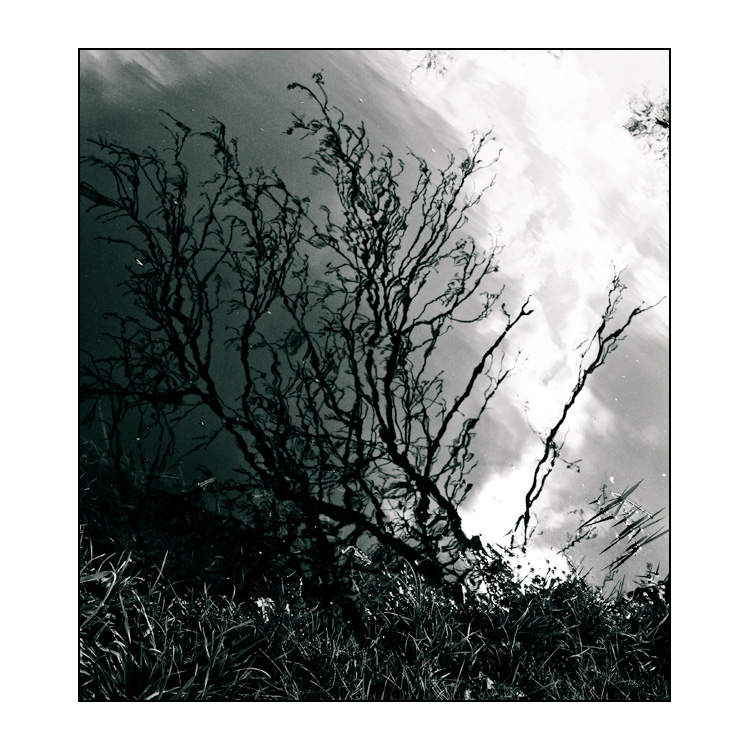 - Malovani -