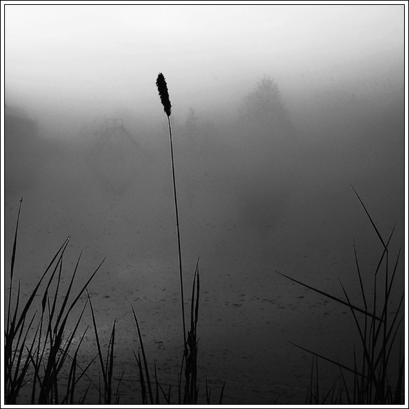 ..samoten...