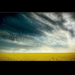 .: POSLEDNÍ STRÁŽCE :.