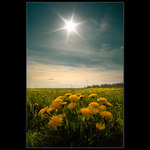 * probuzení jara III. *