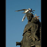 Máš bílou hlavičku...