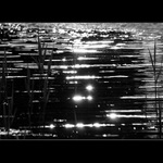 Hvězdy na vodní hladině