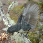 čokoládová - tu mám nejradši