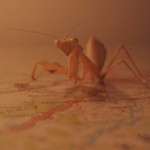 Kudy tudy do Olomouce?