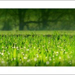 V klidu a bezvětří (II.)