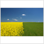 Trefí se nebo ne ? :-)