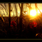 . . .Posledné chvíľky. . .