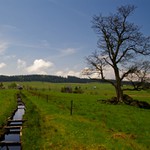 Svědek zašlých časů