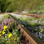 Chvíle nepozornosti a .....