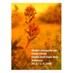 Pozvánka na výstavu