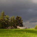 Než se spustí déšť...