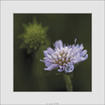 ... dotyky III. - "alien"