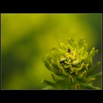 Hele, jdem jinam, tady už nic nejni..